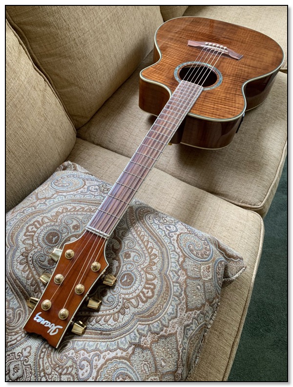 Ibanez 2