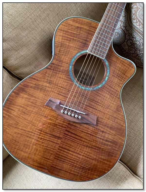 Ibanez 3
